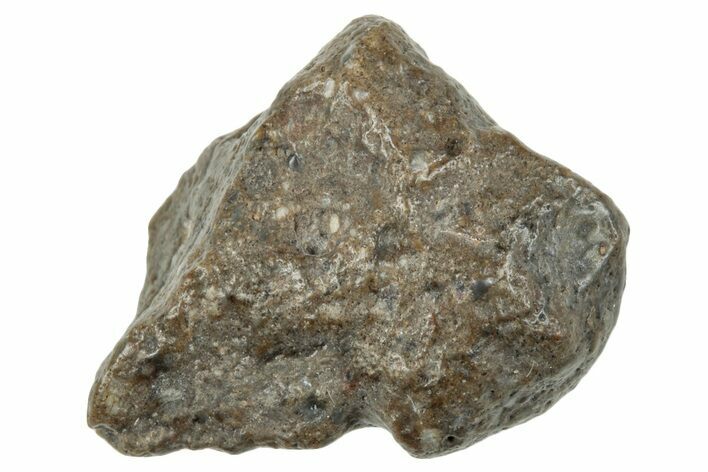 Lunar Meteorite ( g) - NWA #264151